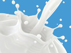 �����̿ɷ����ص���θ �����˺��и����˺�����