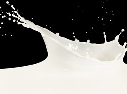 �и���ţ���н���, ѡ������ȷ, ��������̥��������