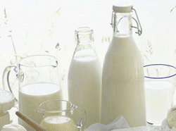 ��������ţ�� ���˴�͸��װ