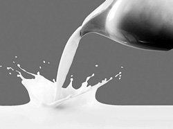 ������ţ��ţ�̰�ȫ�����ʺ�ȫ��������