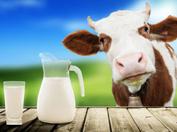 �ҹ�����Ʒ���� ���нϴ������ռ�