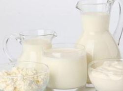 ţ�ָ̻�����ʤ���˶�����