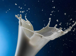 ţ�̵Ĺ�Ч������ ��Щ�˲��ܺ�ţ��