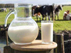 �����Ӫ����ֵ